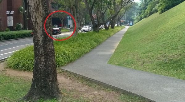 Фэн Шуй тыл