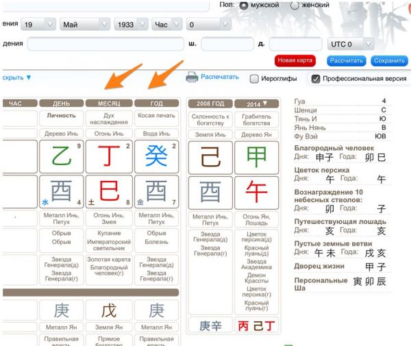 Натальная карта Бацзы Казутсуги Нами